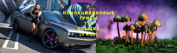 таблы Гусь-Хрустальный
