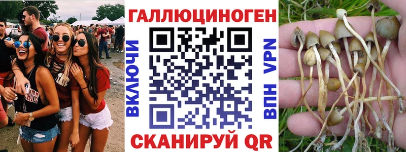 Купить где  Заполярный  Галлюциногенные грибы MAGIC MUSHROOMS 